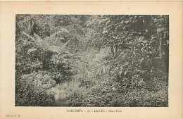 Juin13 604 : Dahomey  -  Lagbé  -  Sous-Bois - Benín