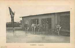 Juin13 606 : Dahomey  -  Autruches - Benín