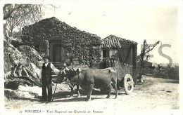 PORTUGAL - VOUZELA - TIPO REGIONAL EM QUINTELA DE VENTOSA - 50S REAL PHOTO PC. - Viseu