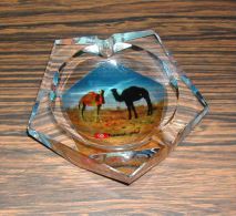 Cendrier En Verre Glass Ashtray Chameaux De TUNISIE Tunisia - Vidrio