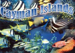 (200) Cayman Island - Multiview Underwater - Caimán (Islas)