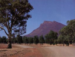 (621) Australia - SA - Wilpena Pound - Other & Unclassified