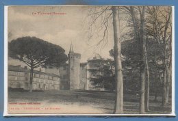 82 - GRISOLLES --  Le Chateau - Grisolles