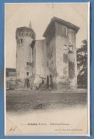 82 - GRISOLLES --  Chateau De Fontanas - Grisolles