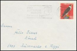 Switzerland 1971, Cover Hoch To Küssnacht Am Rigi - Cartas & Documentos