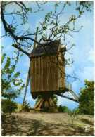 GELRODE Bij Aarschot (Vlaams-Brabant) - Molen/moulin - De Moedermeule In Verval Vóór De Restauratie Van 1976. TOP ! - Aarschot