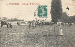 Yvelines : Sartrouville, Paturages De Lavaudoire - Sartrouville