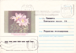 CACTUS, ROSEOCACTUS,1988,COVER STATIONERY,SEND TO MAIL,RUSSIE. - Sukkulenten