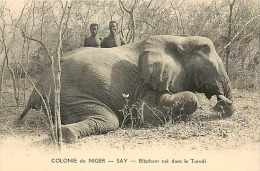 Juin13 791 : Say  -  Torodi  -  Eléphant - Niger