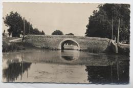 34 - CAPESTANG - PONT DE PIERRE - Capestang