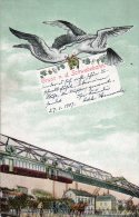 Gruss V.d. Schwebebahn Wuppertal Elberfeld 1908 Postcard - Wuppertal