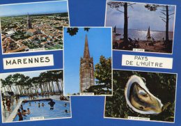 MARENNES - PAYS DE L'HUITRE - Marennes