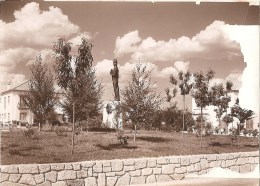 Vila Real - Praceta E Monumento A Diogo Cão - Vila Real