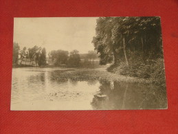 RHODE-ST-GENESE -   Sept Fontaines  - L´Etang Vu Du Moulin - Rhode-St-Genèse - St-Genesius-Rode