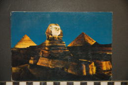 EGYPTE   GIZA SPINX AND PYRAMIDS  SON ET LUMIERE  -516 LEHNERT AND LANDROCK - Gizeh
