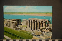 EGYPTE   GENERAL VIEW OF AMON TEMPLE  601- LEHNERT AND LANDROCK - Abu Simbel Temples