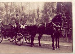 Paris    Fiacre  Attelage Cheval  (Carte Photo) - Sets And Collections