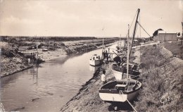 ¤¤  -    19   -   BOURGNEUF-en-RETZ    -   Le Port   -  Bateaux De Pêches  -  ¤¤ - Bourgneuf-en-Retz