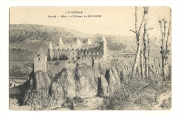 Cp, 15, Sailhans, Le Château - Sonstige & Ohne Zuordnung