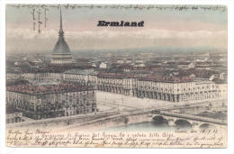 Torino Turin 1902, Panorama - Nach Berlin - Otros Monumentos Y Edificios