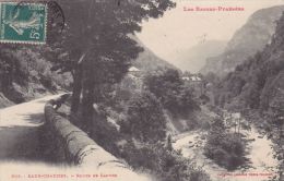 Cp , 64 , EAUX-CHAUDES , Route De Laruns - Laruns