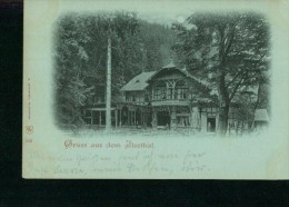 Litho Gruss Aus Dem Ilsethal Harz Blaustich Haus Um 1910 - Ilsenburg