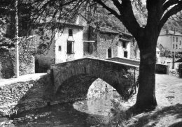 BLESLE - Vieux Pont Sur La Voireuse (8) - Blesle