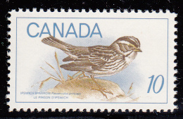 Canada MNH Scott #497 10c Ipswich Sparrow - Birds - Unused Stamps