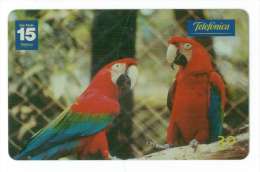 BRESIL OISEAU PERROQUET ARARA - Parrots