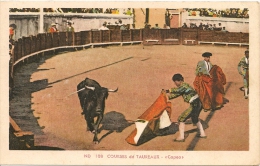 COURSE DE TAUREAUX---CAPEO--CORRIDA---CORRIDOR-MATADOR - Tauri