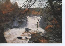 (UK109) FALLS OF ROGIE . ROSS-SHIRE . WATERFALL AND SALMON LEAP - Ross & Cromarty