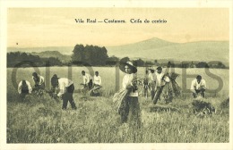 PORTUGAL - VILA REAL - COSTUMES - CEIFA DO CENTEIO - 1915 PC. - Vila Real