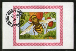 Sharjah - UAE 1972 Honey Bee Insect  Fauna Flora M/s Cancelled # 3066 - Abeilles