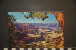 ARIZONA - ETAS UNIS - GRAND CANYON NATIONAL PARK - - Grand Canyon