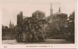 CAMBS - PETERBOROUGH - CATHEDRAL RP Ca57 - Andere & Zonder Classificatie