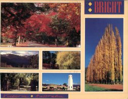 (050) Australia - VIC - Bright - Sonstige & Ohne Zuordnung