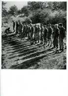 Guerre 39-45 Sicile Prisonniers Allemands Juillet 1943 Par Robert Capa - Guerre 1939-45