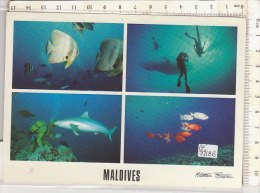 PO9918B# MALDIVE - PESCI TROPICALI  - SUB - SQUALI   VG 2001 - Maldives