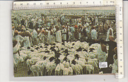 PO9947B# ARABIA SAUDITA - K.S.A. - THE SACRIFICE AT MINA  VG 1979 - Arabie Saoudite