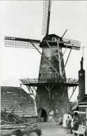 WINSCHOTEN (Groningen) - Molen/moulin - Verdwenen Korenmolen L' Esperance In 1956, Vijf Jaar Voor De Afbraak - Winschoten