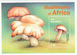 Gambia Hb 464 - Gambie (1965-...)