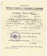 Yugoslavia 1941 Police Certificate During Bulgarian Occupation In WWII - Pirot - Storia Postale