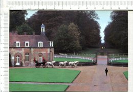 EXMES - LE HARAS Du PIN  -  ATTELAGE - Exmes