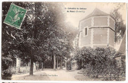 CPA  Massy Colombier Du Château  91 Essonne - Massy