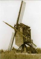 SCHRIEK ~ Heist-op-den-Berg (Antw.) - Molen/moulin - Houten Molen ´De Grote Bels´ Kort Voor De Instorting (1967) - Heist-op-den-Berg