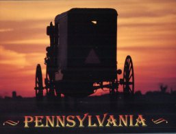 (010) USA - Amish And Buggy - Unclassified