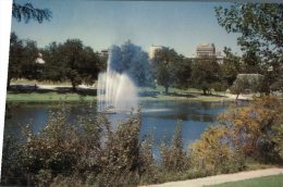 (304) Australia - SA - Adelaide Torrens Lake - Adelaide