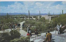 Arizona Tucsons A View From The Remada OF The Arizona Sonra Desert Museum - Tucson