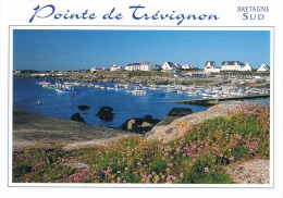 TREGUNC (Finistère) - La Pointe De TREVIGNON, Vue Sur Le Port - BRETAGNE SUD - COULEURS DE BRETAGNE - Neuve, 2 Scans - Trégunc