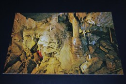 Attendorner Tropfensteinhöhle  /  Jonische Säule  ( 10 ) - Attendorn